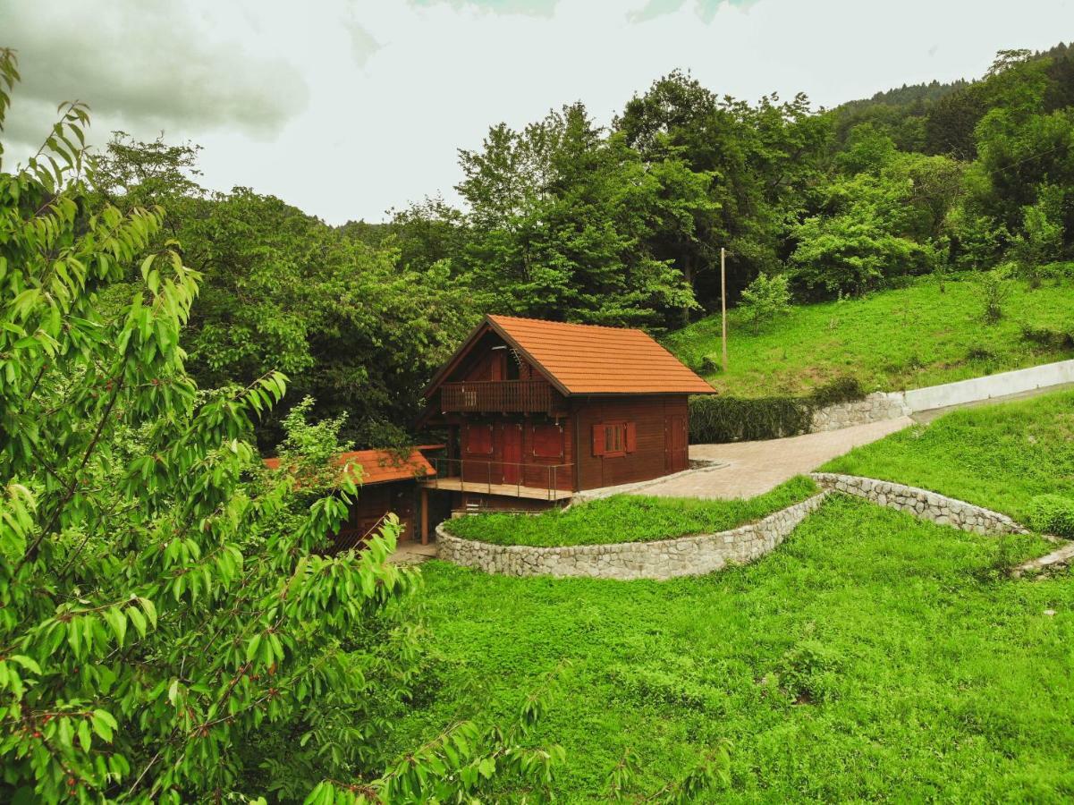 Villa Lazec Country House Pluznje Exterior foto